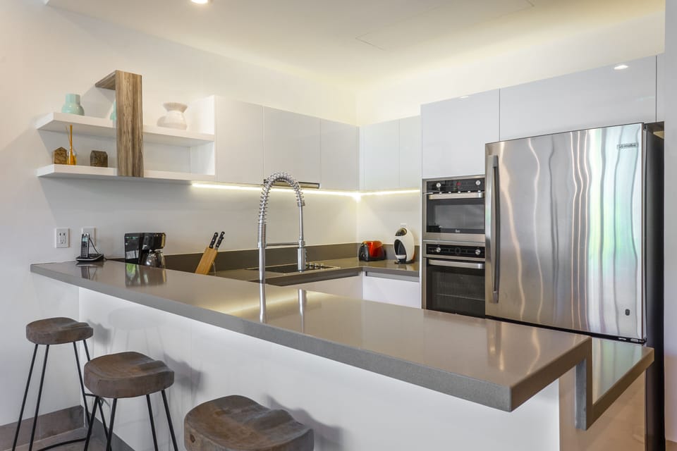 Deluxe Apartment | Private kitchen | Full-size fridge, microwave, oven, stovetop