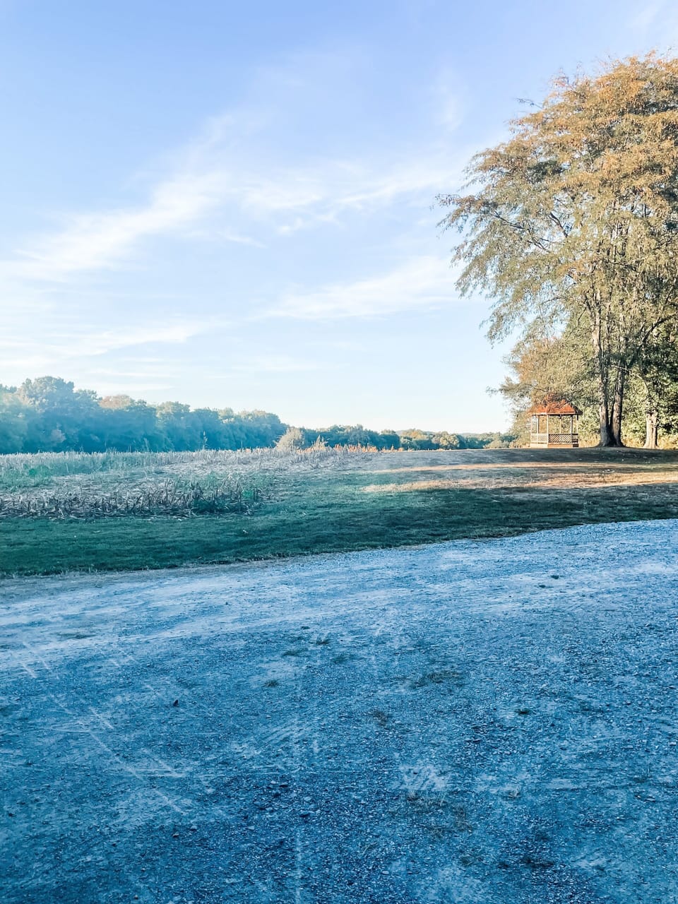 Property with view of cornfields