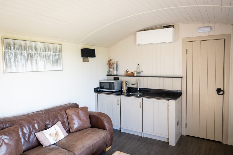 Deluxe Cabin | Living area | 39-inch Smart TV with digital channels, TV, Netflix