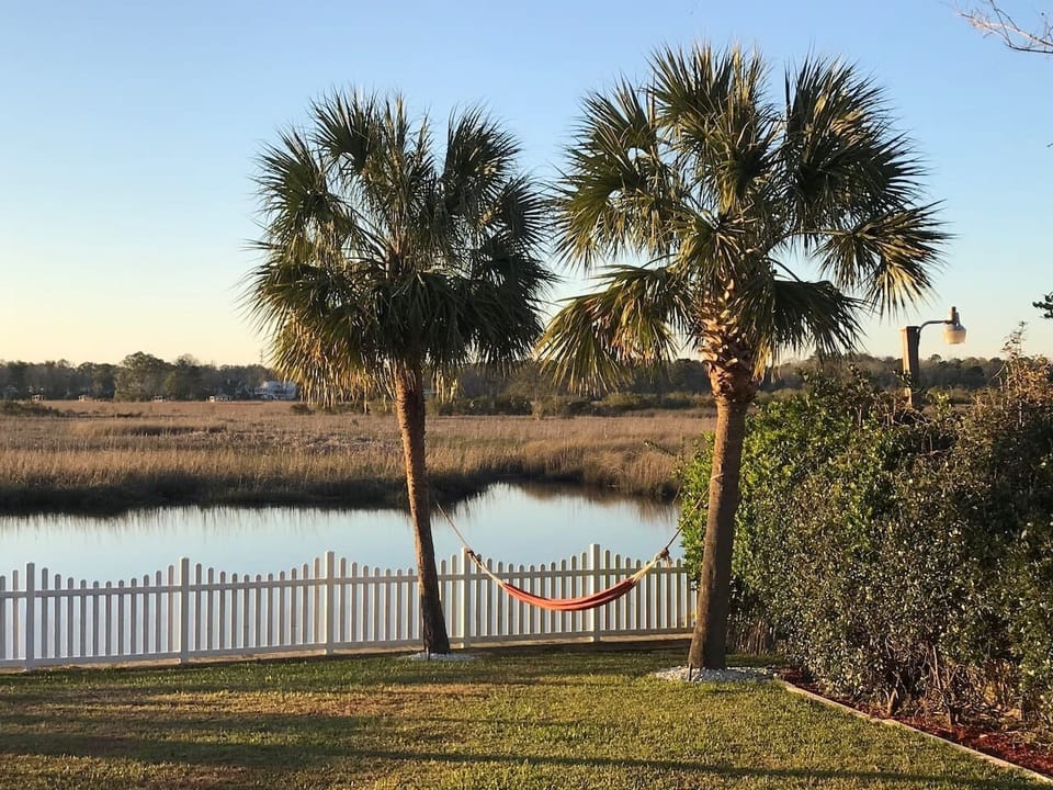 Read a Book in Hammock