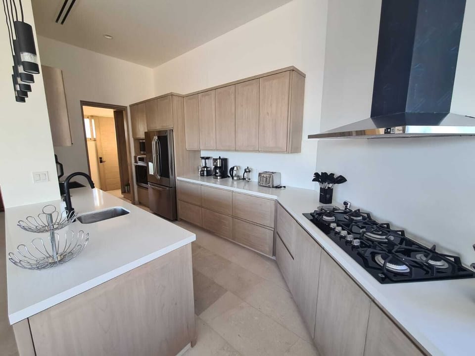 Elegant and Modern Kitchen,
