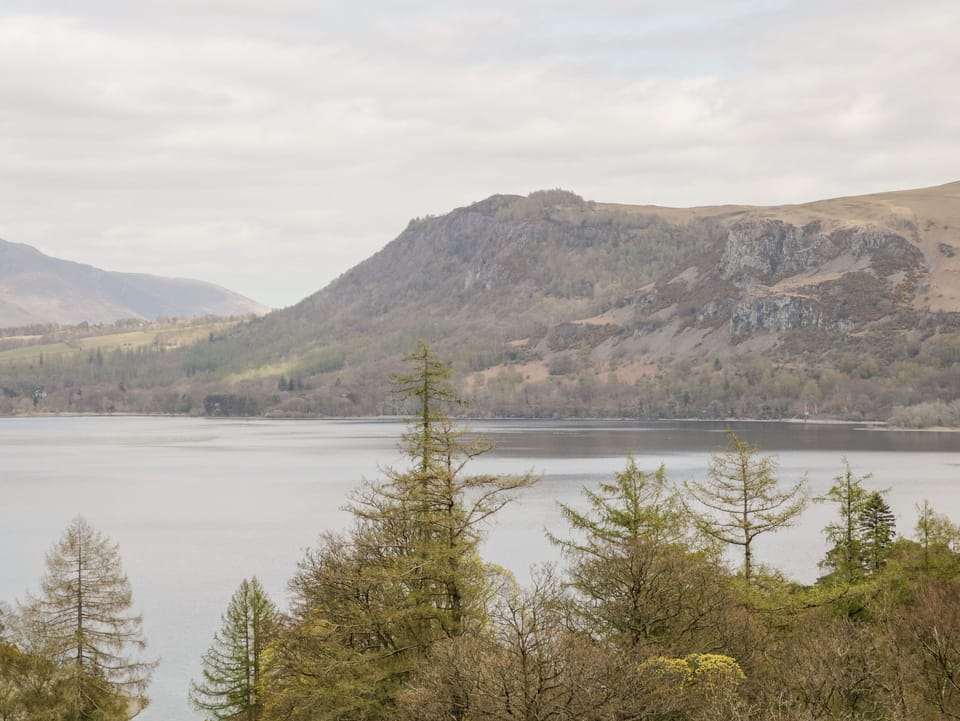 Cottage | Miscellaneous