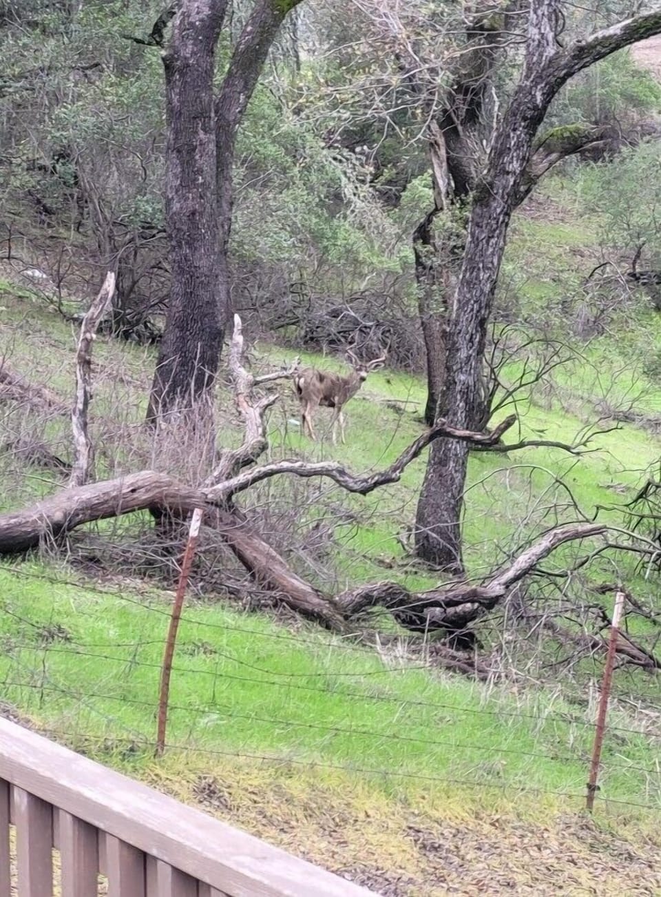 Wake up and see the incredible wildlife roaming about