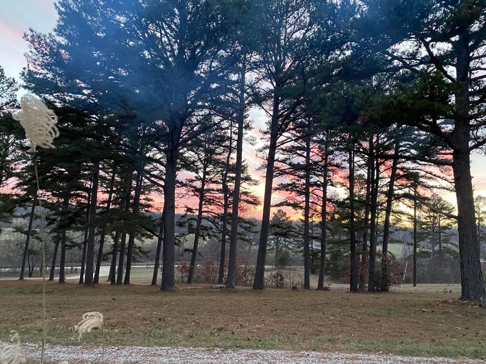 View from front porch 