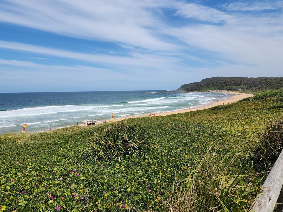 Shelly Beach