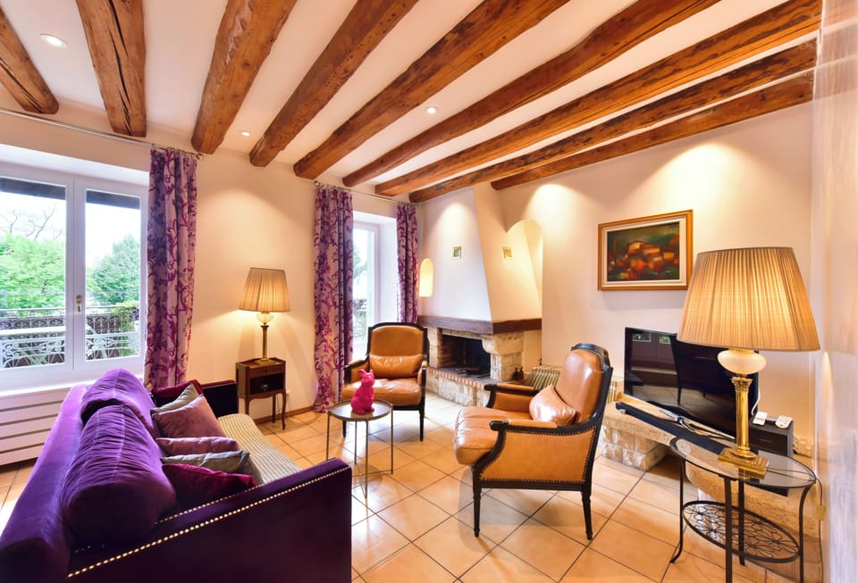 Appartment Suite ,Lake View | Living area