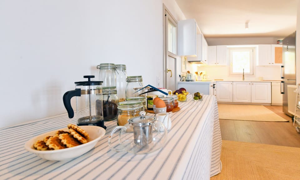 The fully equipped kitchen