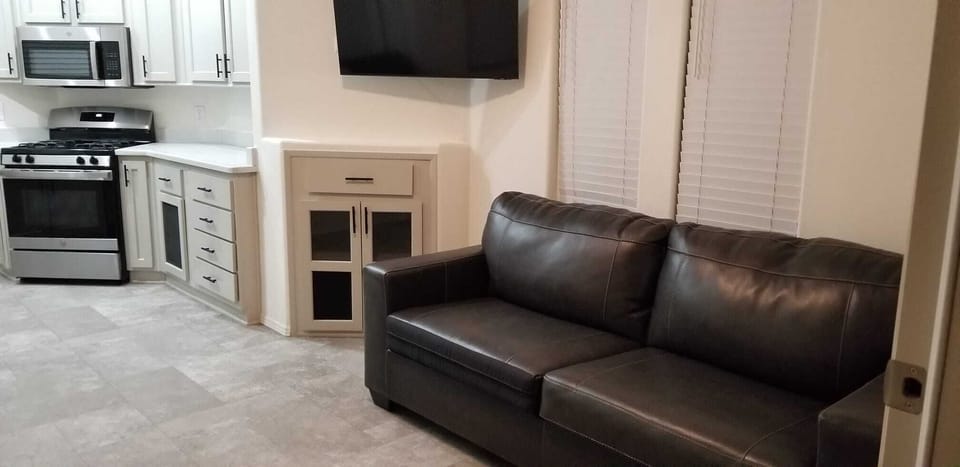 Sofabed w/ TV