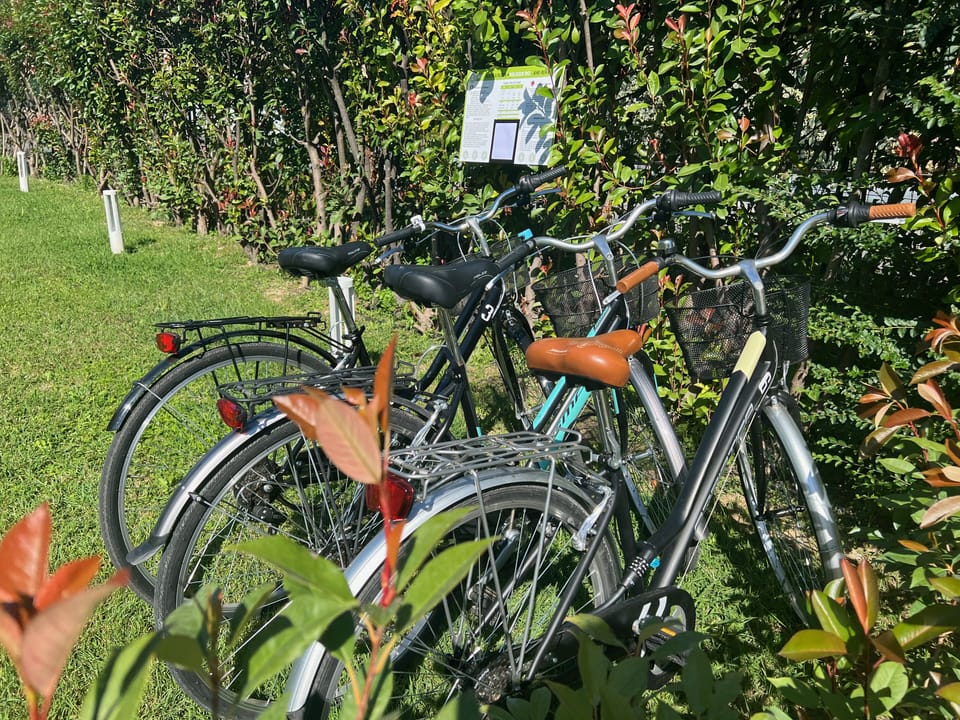 Bicycling