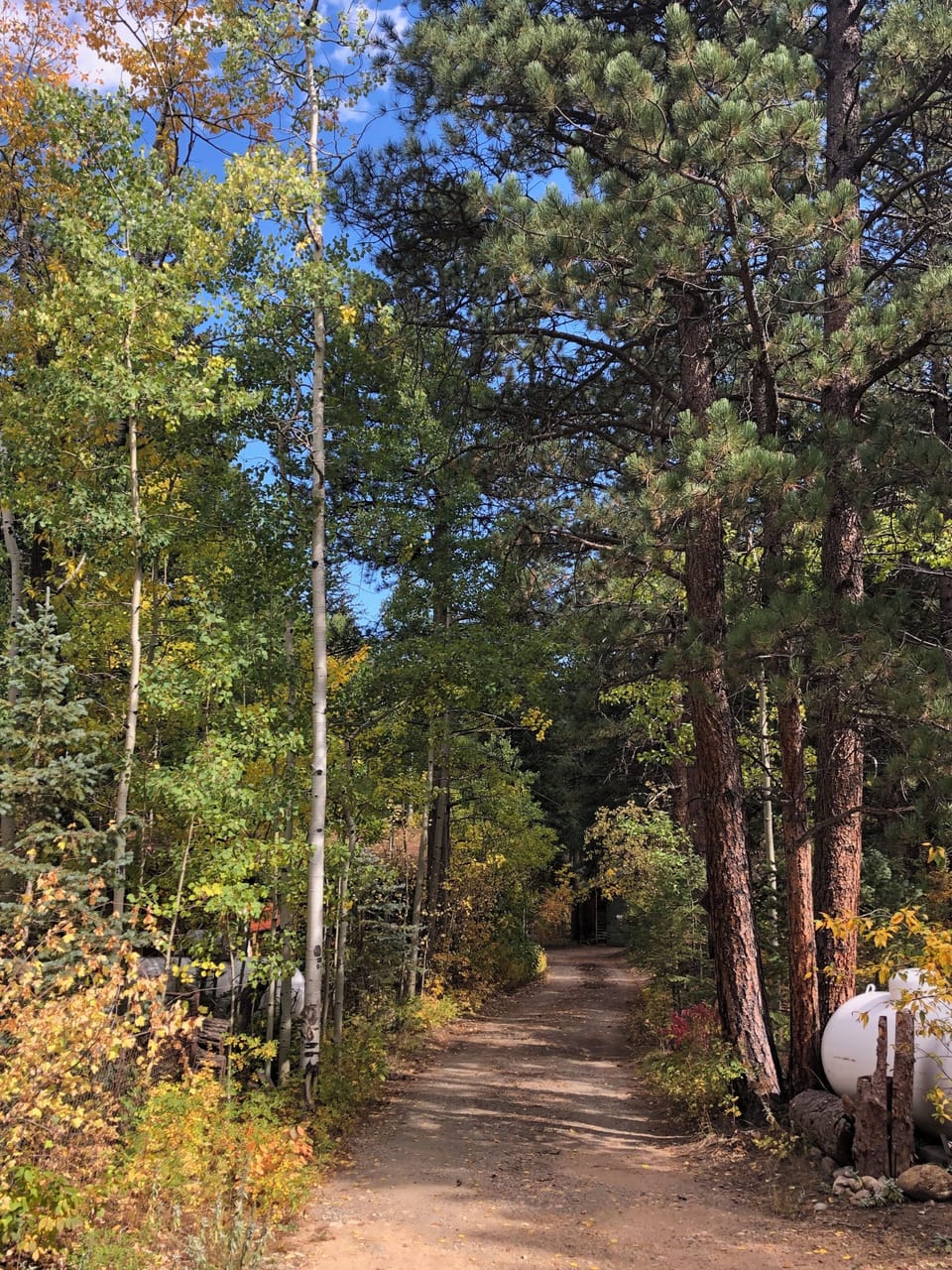 Cabin surroundings in the fall