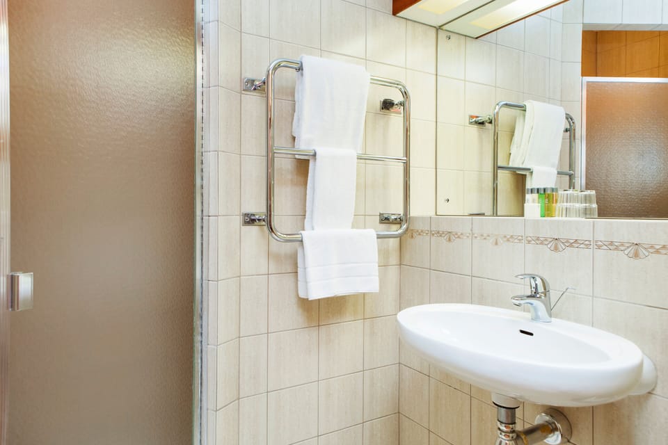 Free toiletries, hair dryer, towels