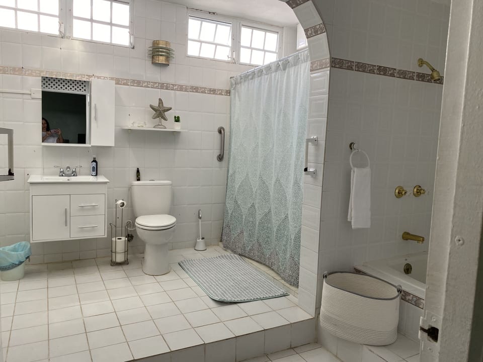 Master  Bathroom