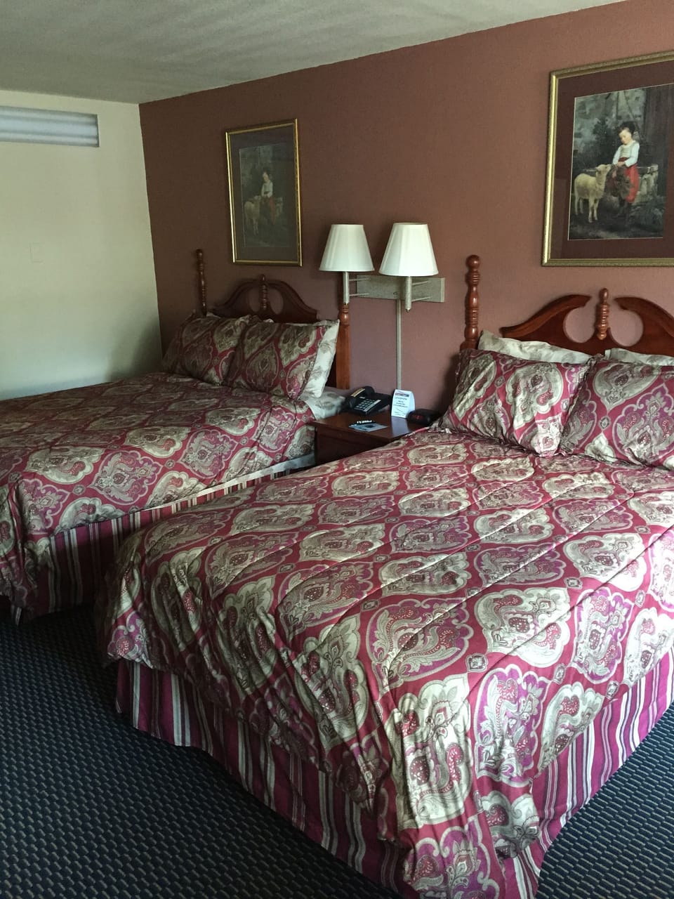 Desk, iron/ironing board, free WiFi