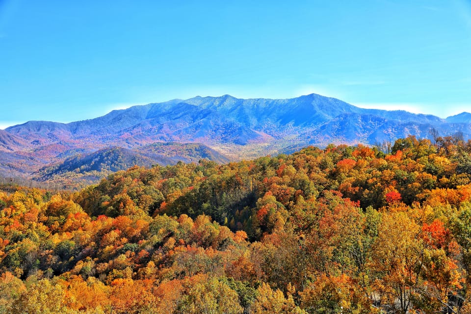 Beautiful fall colors