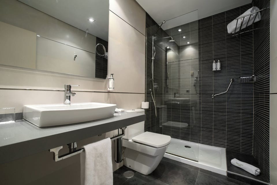 Minibar, desk, iron/ironing board, free WiFi