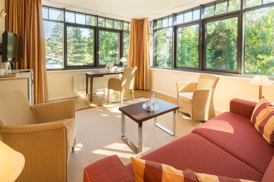 Suite | Hypo-allergenic bedding available, minibar, in-room safe, desk