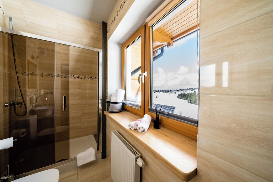Classic Double Room, 1 Bedroom, Non Smoking | Bathroom | Shower, hydromassage showerhead, free toiletries, hair dryer