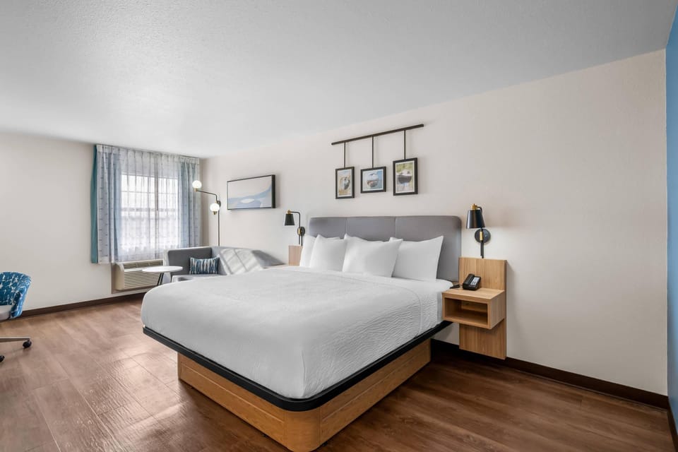 1 King Bed, Executive Room, Sofa Bed | Premium bedding, pillowtop beds, desk, iron/ironing board