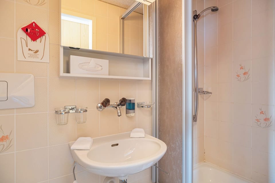Twin Room, Balcony, Mountain View | Bathroom | Hair dryer, towels