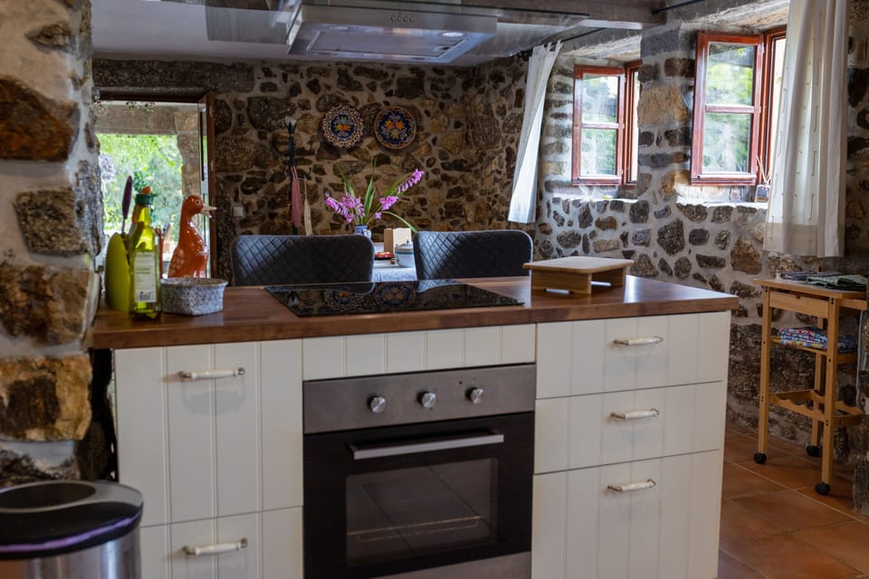 An island with an induction cooker - chat to friends while cooking. 