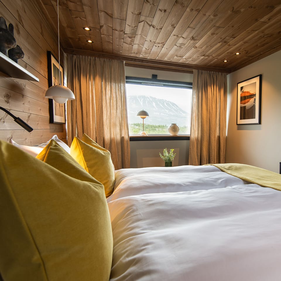 Minibar, free WiFi, bed sheets
