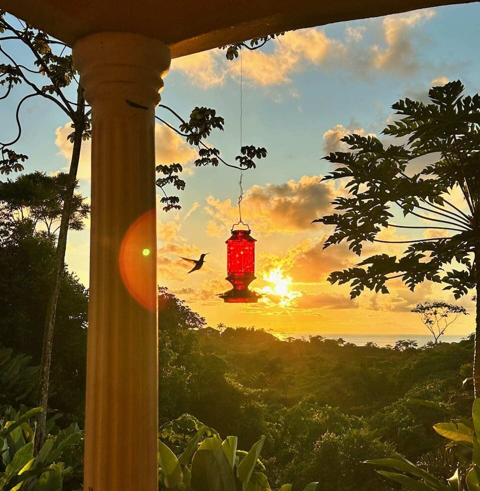 Hummingbirds are just some of the beautiful wildlife you will see and hear while staying at Casa Rana Verde.
