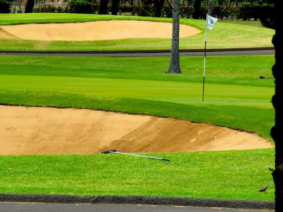 Lush green fairway offering a peaceful golf-side moment.