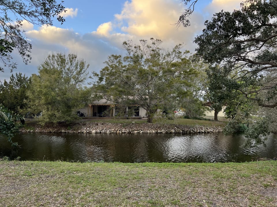 View from Deck
