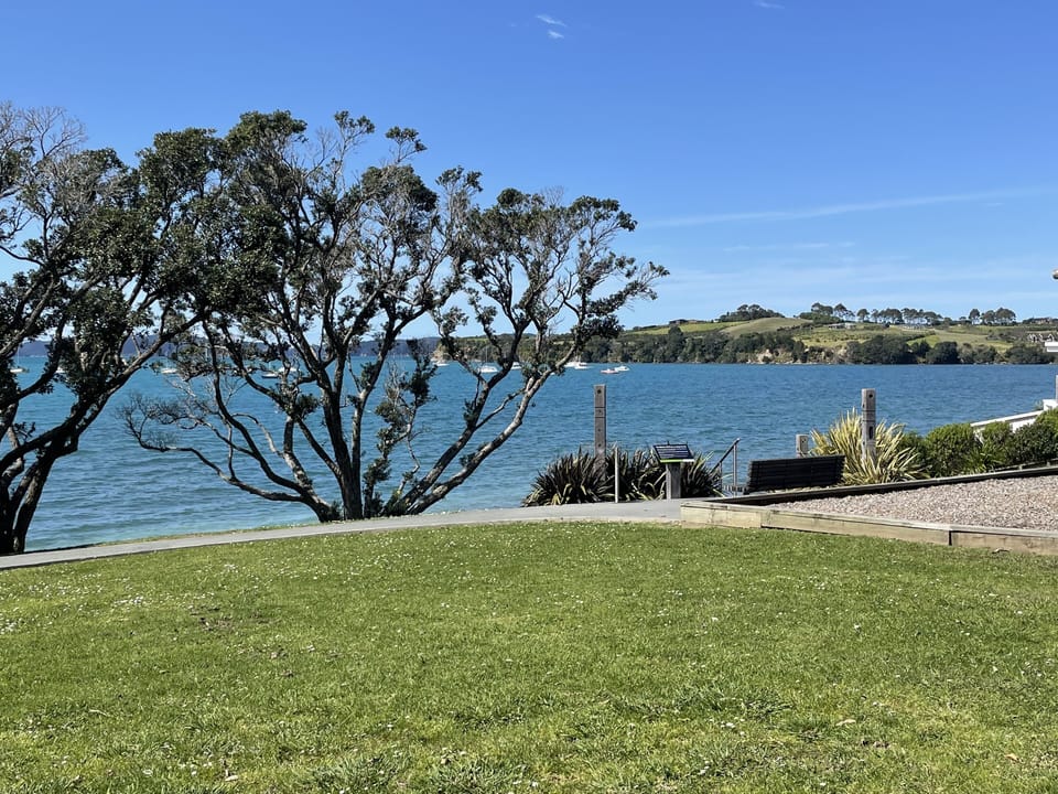 Algies Bay