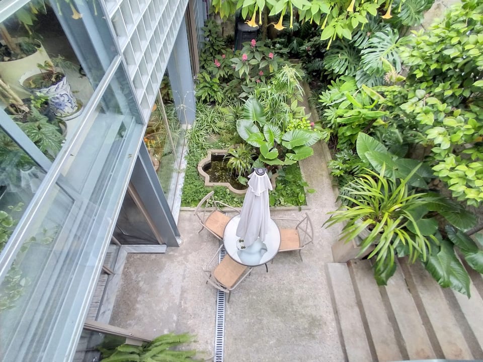 Facade and garden 