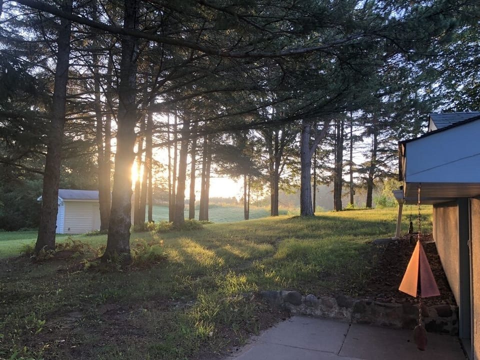 Your view from the backyard.