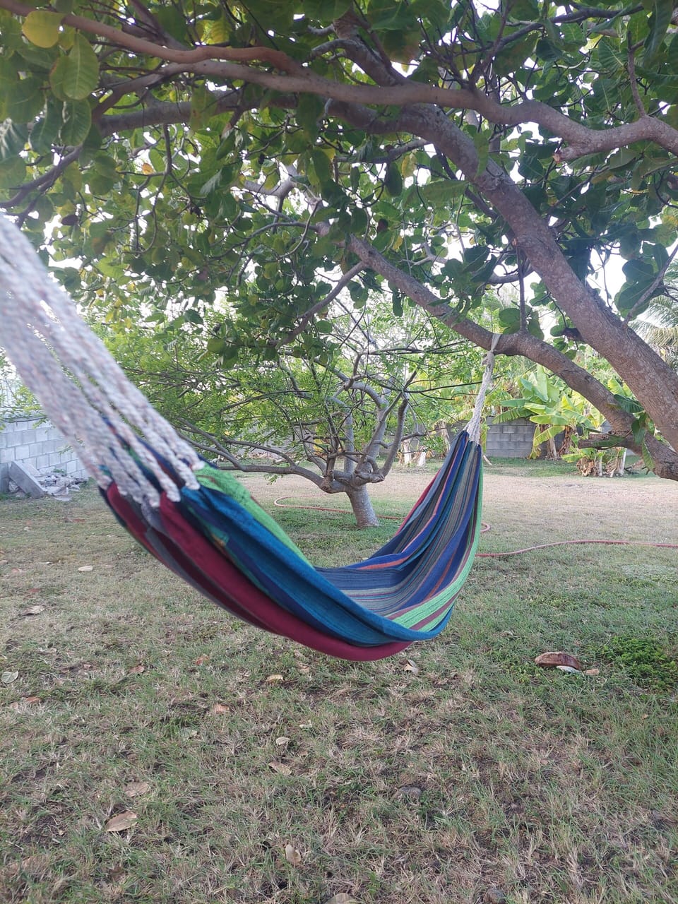 On a hot sunny day, the perfect place to cool off is in our hammock.