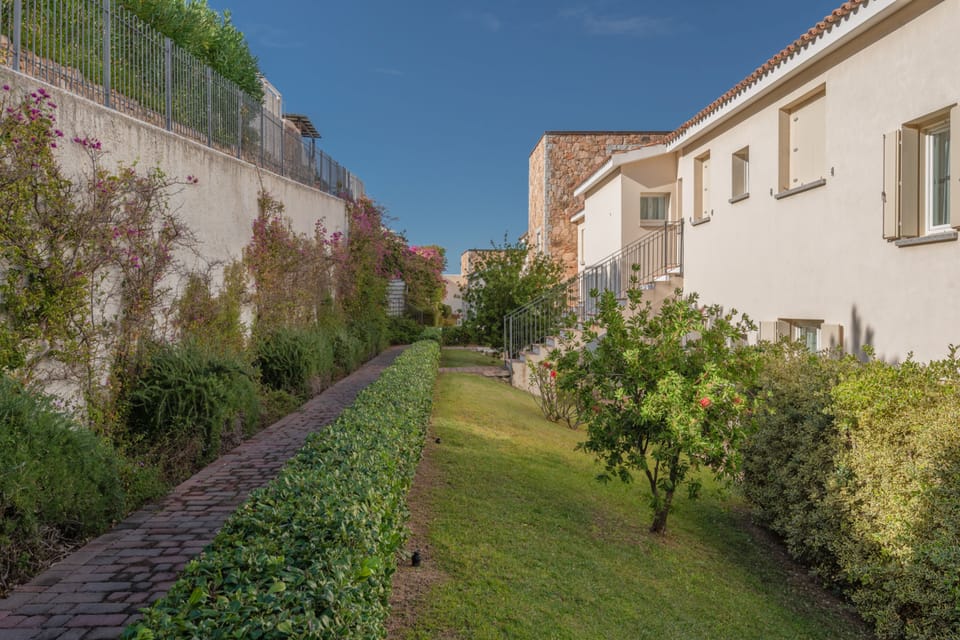 Shared Garden