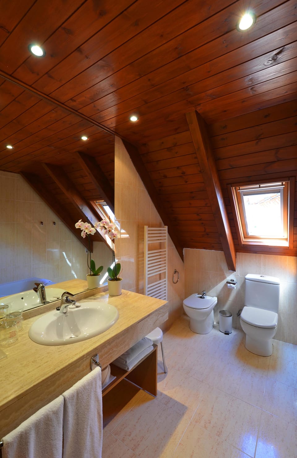 Free toiletries, hair dryer, bidet, towels