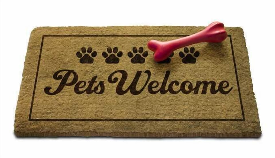 Pet-friendly