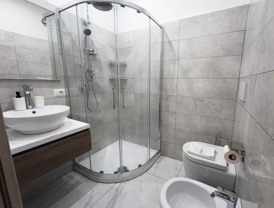 Shower, hair dryer, bidet, towels