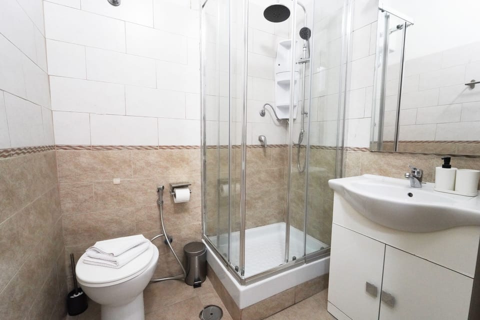 Shower, hair dryer, bidet, towels