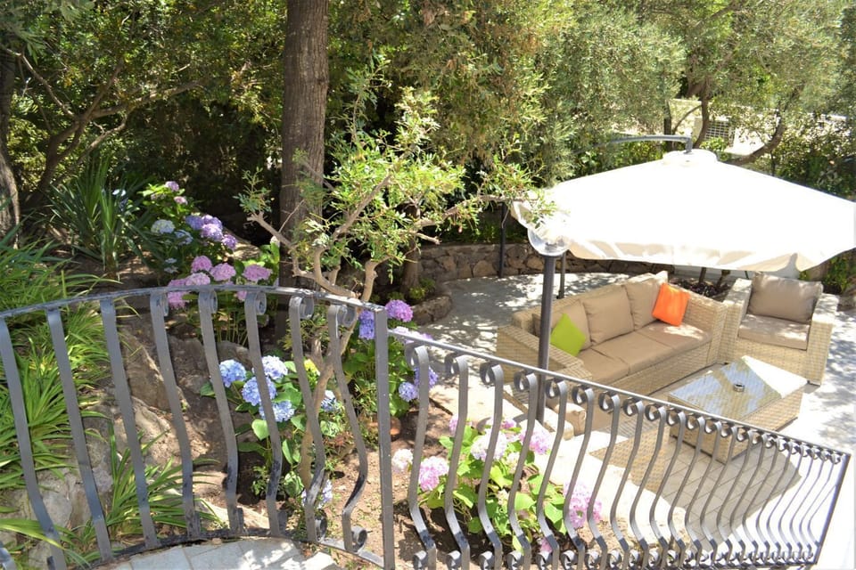 DSC_0048 (2) - bis (1)