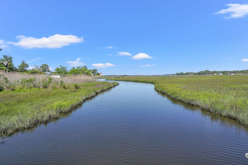 Water View