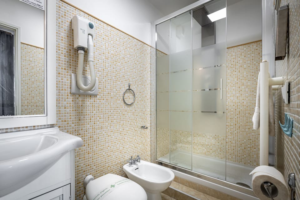 Deluxe Room | Bathroom | Shower, free toiletries, hair dryer, bidet