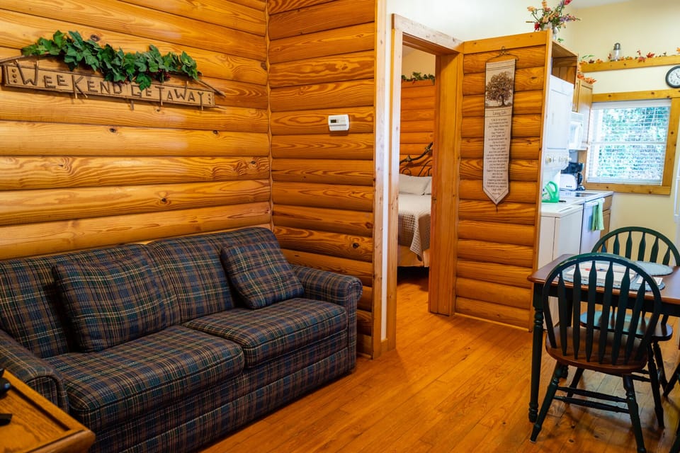 The Mountain View Cottage 2 BedRm 2 Bath | Living area | 39-inch Smart TV with satellite channels