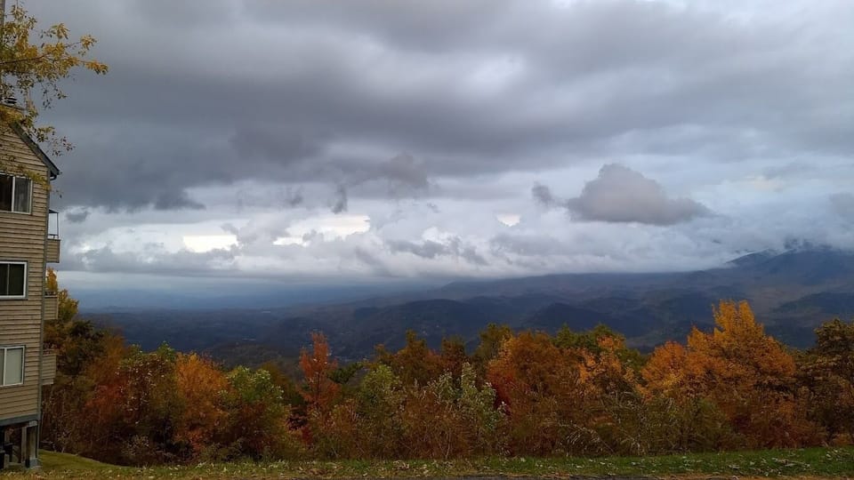 Beautiful fall Colors
