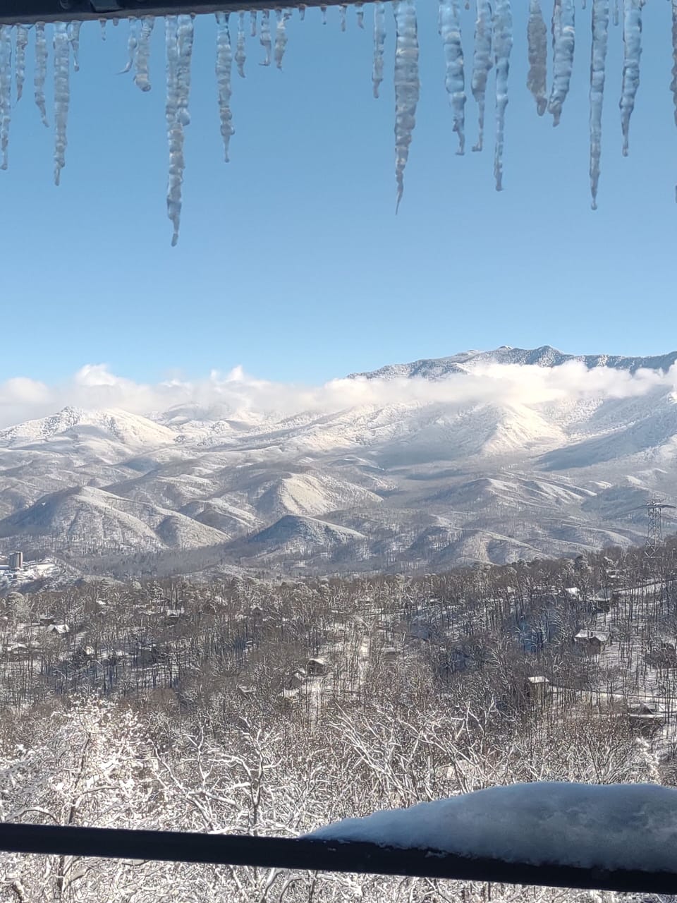 View of a Snowy Day 