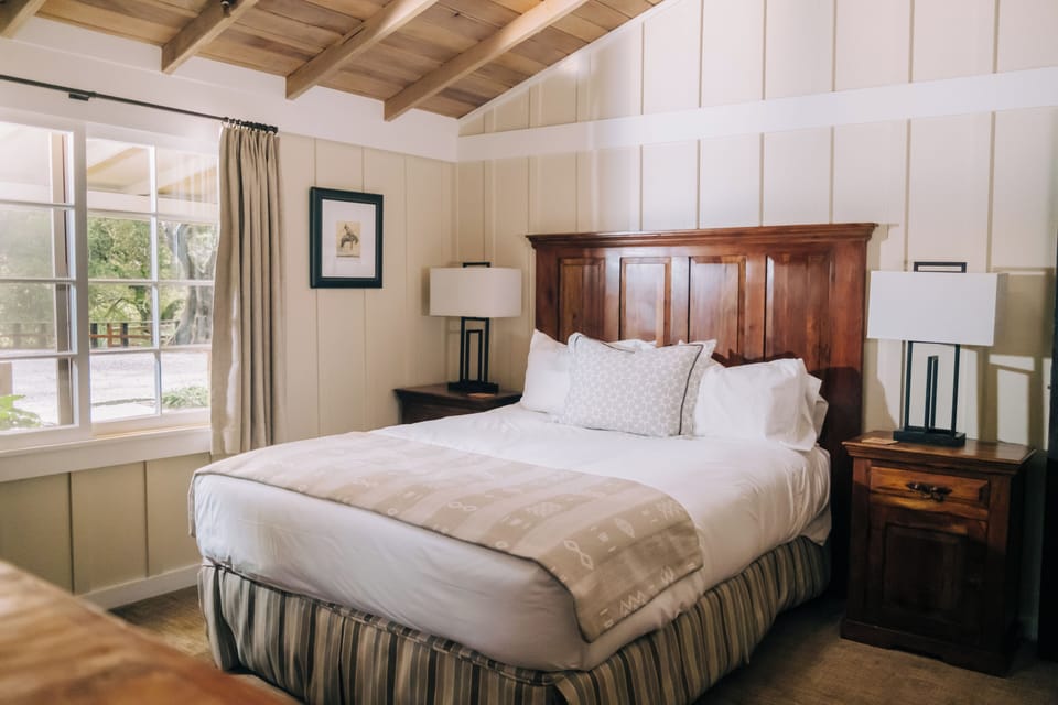 Premium bedding, pillowtop beds, in-room safe, blackout drapes