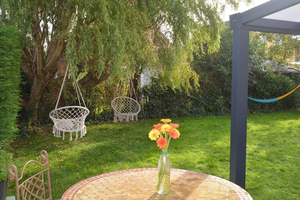 Garden [summer]