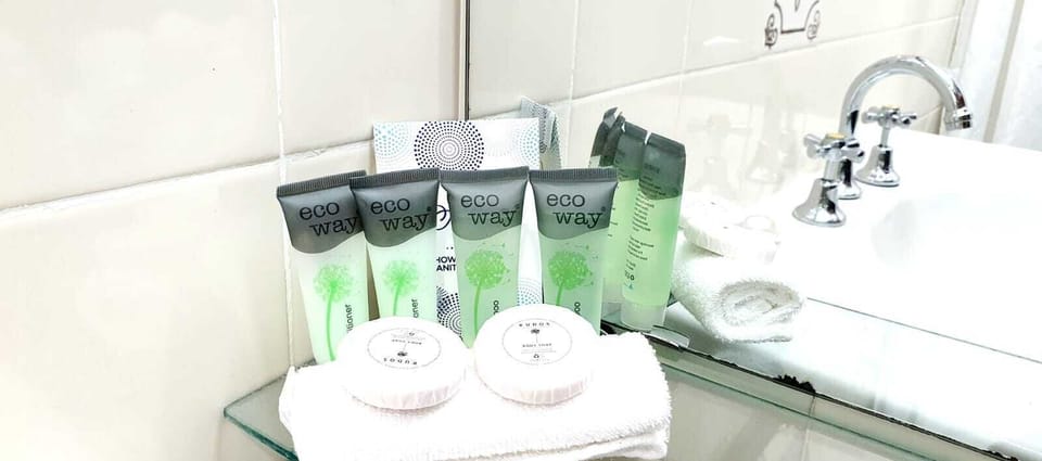 Shower, free toiletries, hair dryer, towels