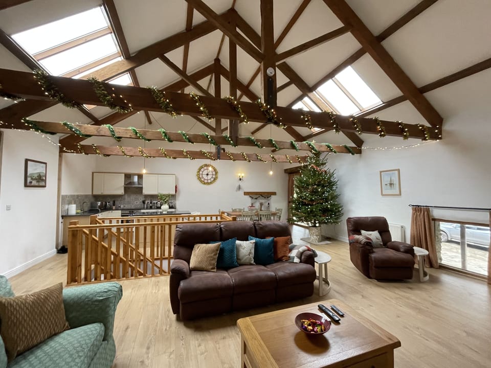 Kestrel at Christmas 