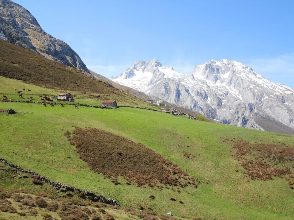 Typical view from the Picos de Europa mountains near to the house. 