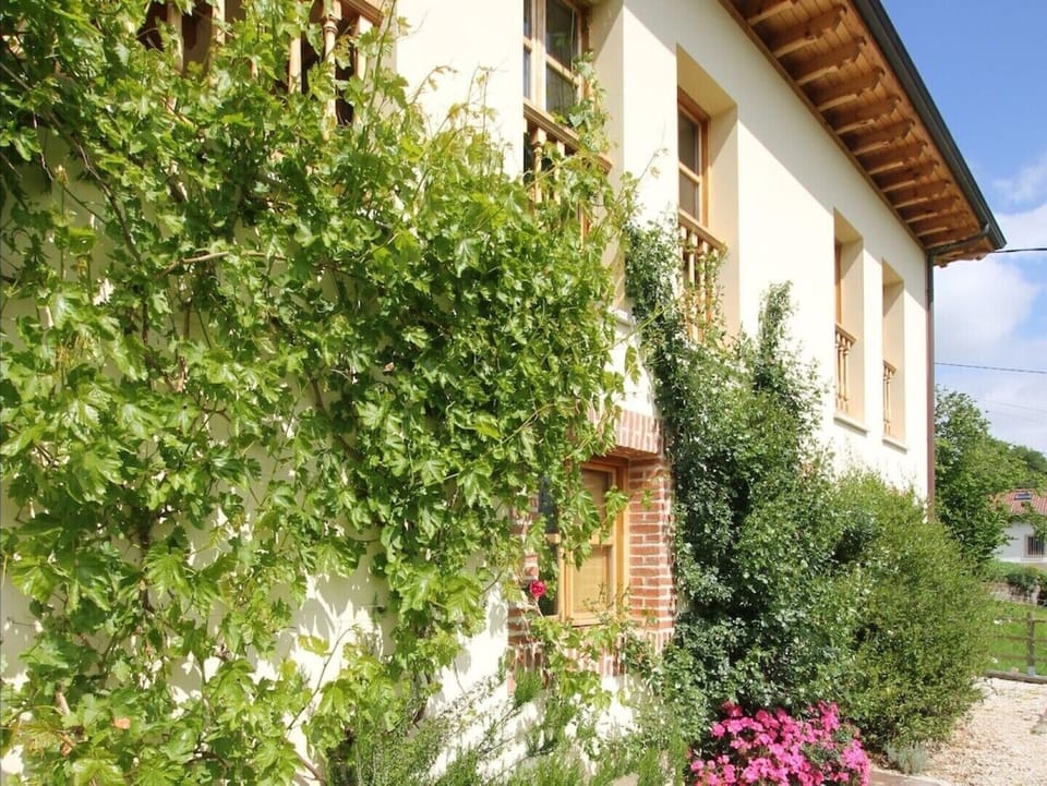Side of the house with climbing vines and flowers