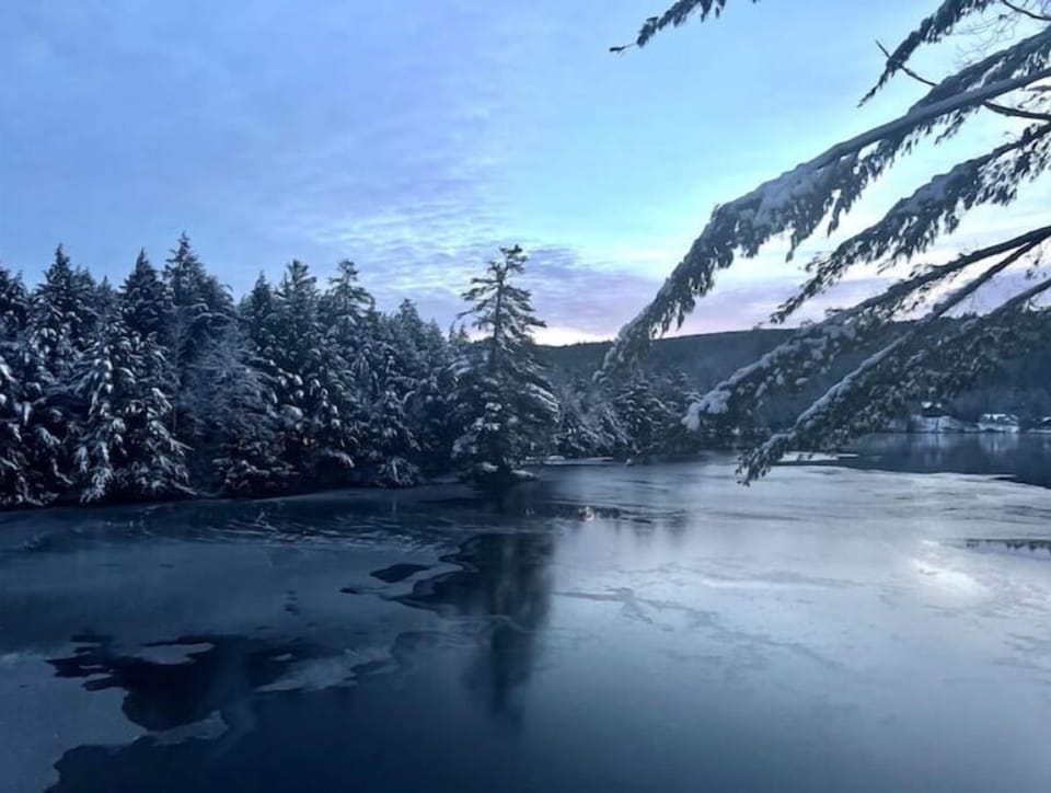 Winter lake view